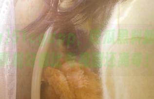 51cgapp,吃瓜黑料新王者,真相好像比电视剧还离奇!