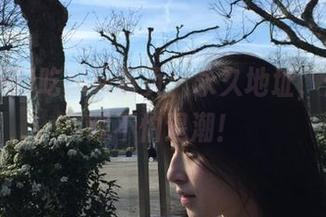 吃瓜网首页:永久地址,你的围观不怕退潮!