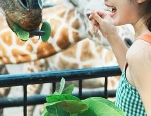 51黑料不打烊，免费瓜享不停，谁能抵挡？