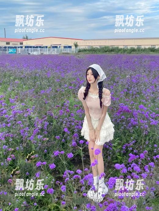 黑料老司机 你敢不敢在“黑料老司机”app上挑战真相?做好心理准备哦!